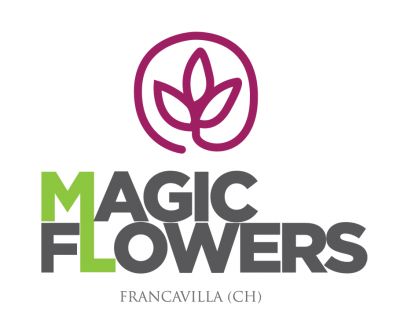MAGIC FLOWERS DI D'ONOFRIO PAOLA